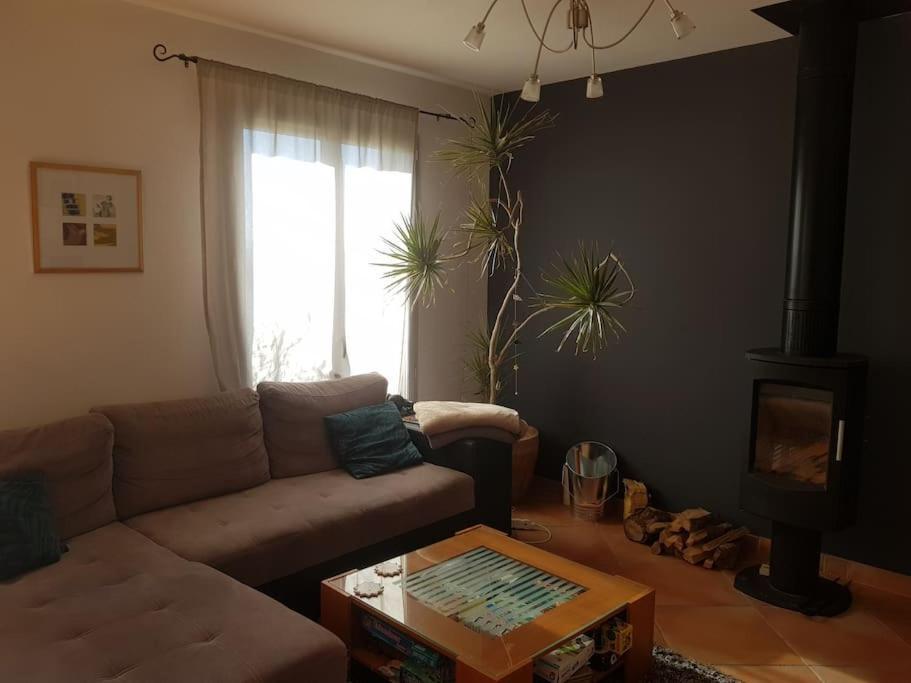 Carla-Bayle Maison Spacieuse Face Aux Pyrenees מראה חיצוני תמונה